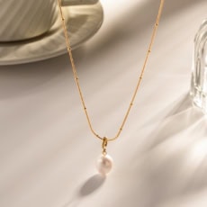 main 01 NT1841 1