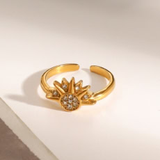 main 03 RT0971 1