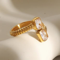 main 04 RT1010 1
